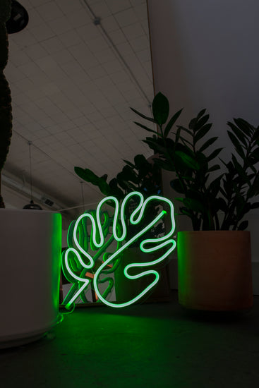 Monstera leaf neon sign green neon with houseplants
